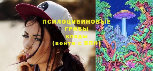 спайс Алзамай