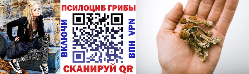 блэк спрут tor Богданович Псилоцибиновые грибы ЛСД